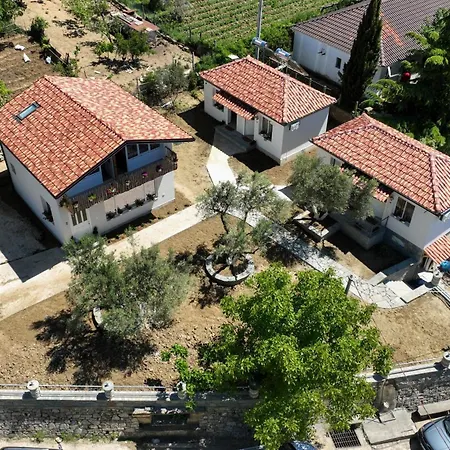 Dario Roshnik * ベラト