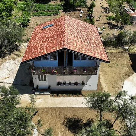 Dario Roshnik ベラト