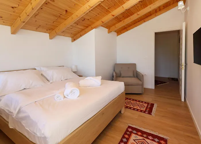 Dario Roshnik * Μπεράτ