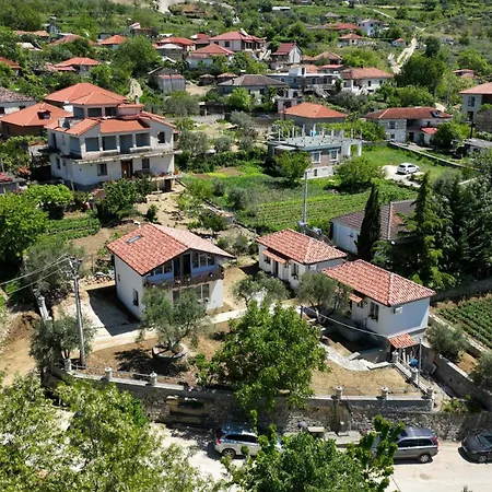 Vila Dario Roshnik Berat