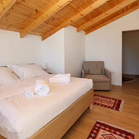 Dario Roshnik * Berat