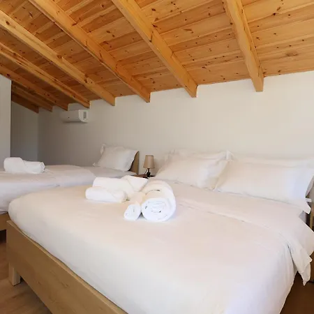 Dario Roshnik * Berat