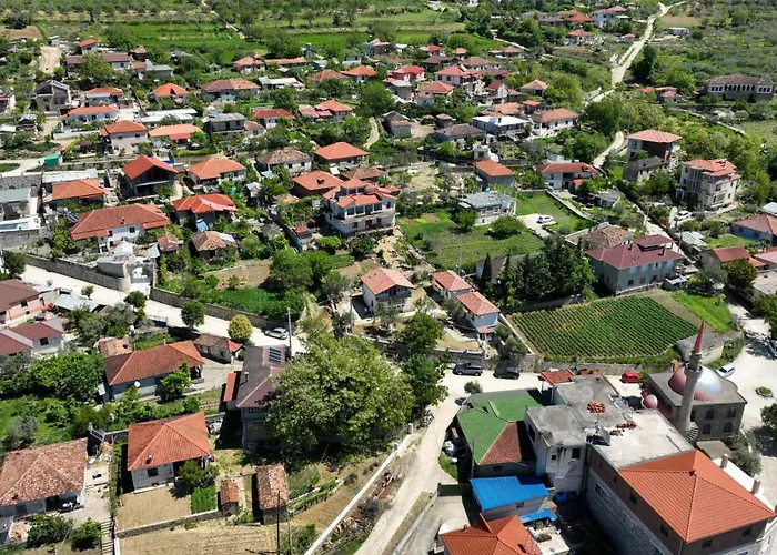 Villa Dario Roshnik