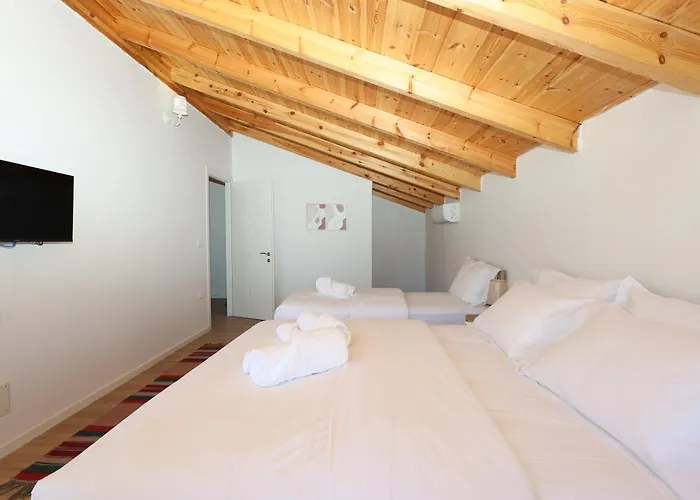 Dario Roshnik * Berat