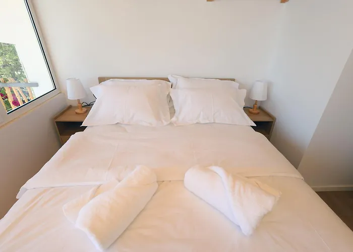 Villa Dario Roshnik *